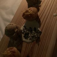   at Mediamatic ETEN in Amsterdam