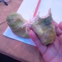 Wrap at Mediamatic ETEN in Amsterdam