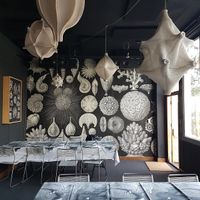 interior - restaurant room at Mediamatic ETEN in Amsterdam