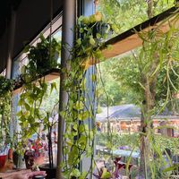   at The Corner Beet in Denver