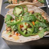   at Vital Root in Denver