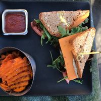 Club 10 at Vital Root in Denver