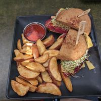  at Vital Root in Denver