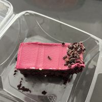   at Vital Root in Denver