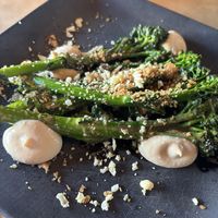   at Vital Root in Denver