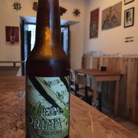 artisanal beer at Los De Abajo in Zacatecas