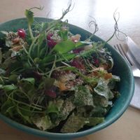 Nice sprouts raw vegan salad with sauce, yummy! at Oh my Goodness in Helsinki