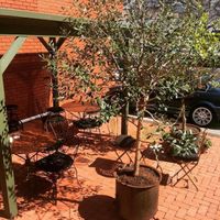 outdoor seating area at back  at Raw + More Cafe in West Perth