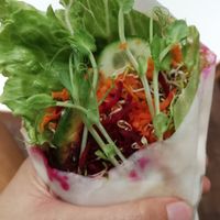 raw vegan coconut wraps - The cashew spread with lemon juice went so well with all the raw veggies including carrots, beetroot, sprouts, cucumbers and more. at Raw + More Cafe in West Perth