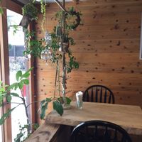 Cute decor inside  at Little Saebejae in Tokyo