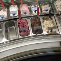 The vegan selection at Tutto Gelato Di Viazzi Aldo in Imperia