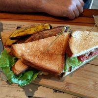 BLT  at Holi Vegan Kitchen in North Miami Beach