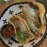 chickpea tacos  at Holi Vegan Kitchen in North Miami Beach