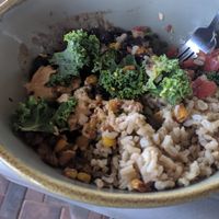 Tex Mex bowl at Holi Vegan Kitchen in North Miami Beach