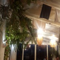 Many plants and lights. Nice sunset view at Franchipani in La Palma