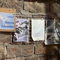 Heck Yeah  at Viveg in Santiago