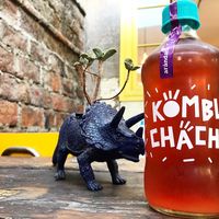 Kombucha Arandano at Viveg in Santiago