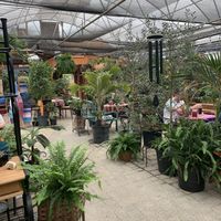 Love that it’s in a nursery!  at Origins Cafe in Cooperstown