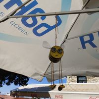 Buzzing about 🐝 at Ice Cream Saloon Clio in Nessebar