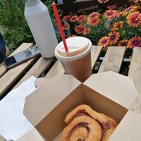 Iced oat milk latte and a vegan cinnamon bun at Qupi Cafe and Bistro in Edinburgh