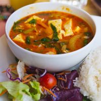 Penang curry with tofu at Himalaya Cafe in Edinburgh
