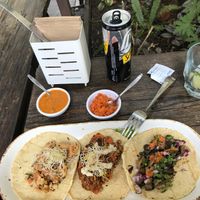 The mushroom and lentil tacos are amazing! at Veguisima in Mexico City