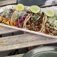 Tacos  at Veguisima in Mexico City