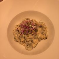 füd  at Veganic in Krakow