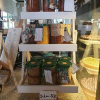  at Veganic in Krakow