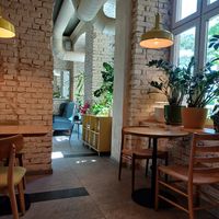  at Veganic in Krakow