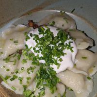 Tofu and potato pierogis with (vegan) sour cream at Veganic in Krakow
