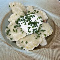 Pierogi is a must   at Veganic in Krakow