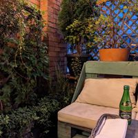 Cozy, green corner at Veganic in Krakow