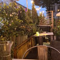  at Veganic in Krakow