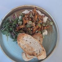 Mushroom at Veganic in Krakow