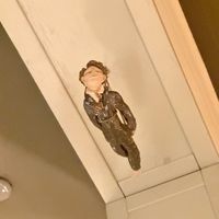 Decorations   at Veganic in Krakow