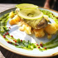 main: stuffed cabbage on a bed of sauted potatoes at Veganic in Krakow