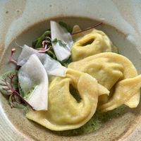 Cappelachi dumplings to start  at Veganic in Krakow