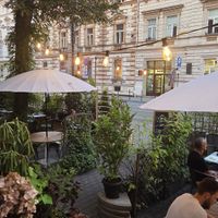 Venue at Veganic in Krakow