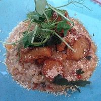 Vegan main course  at Veganic in Krakow