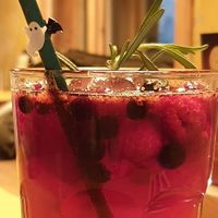 Forest lemonade at Veganic in Krakow