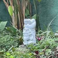 Patio  at Casa Raw in Sao Paulo