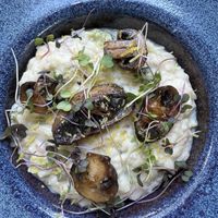 Risotto limone  at Casa Raw in Sao Paulo