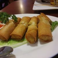 crispy spring rolls  at Siam Orchid Thai Cuisine in Eureka