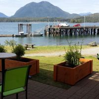 The Amazing View!!! at Calypso Roti Shop in Tofino