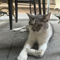   at Mayka in Belgrade