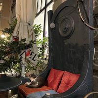   at Mayka in Belgrade