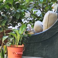  at Mayka in Belgrade