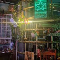   at Mayka in Belgrade