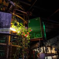  at Mayka in Belgrade